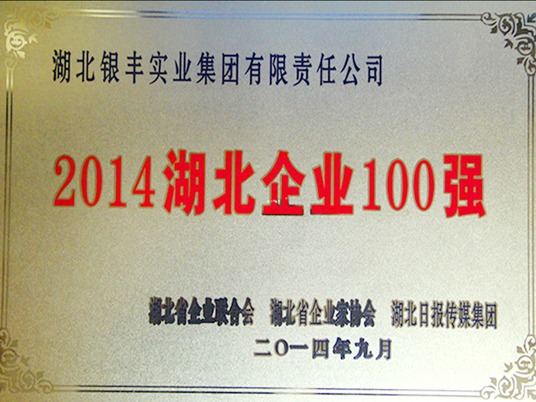 2014年 銀豐集團獲評2014年度湖北省百強企業第43位 2014年 銀豐集團獲評2014年度湖北省百強企業第43位