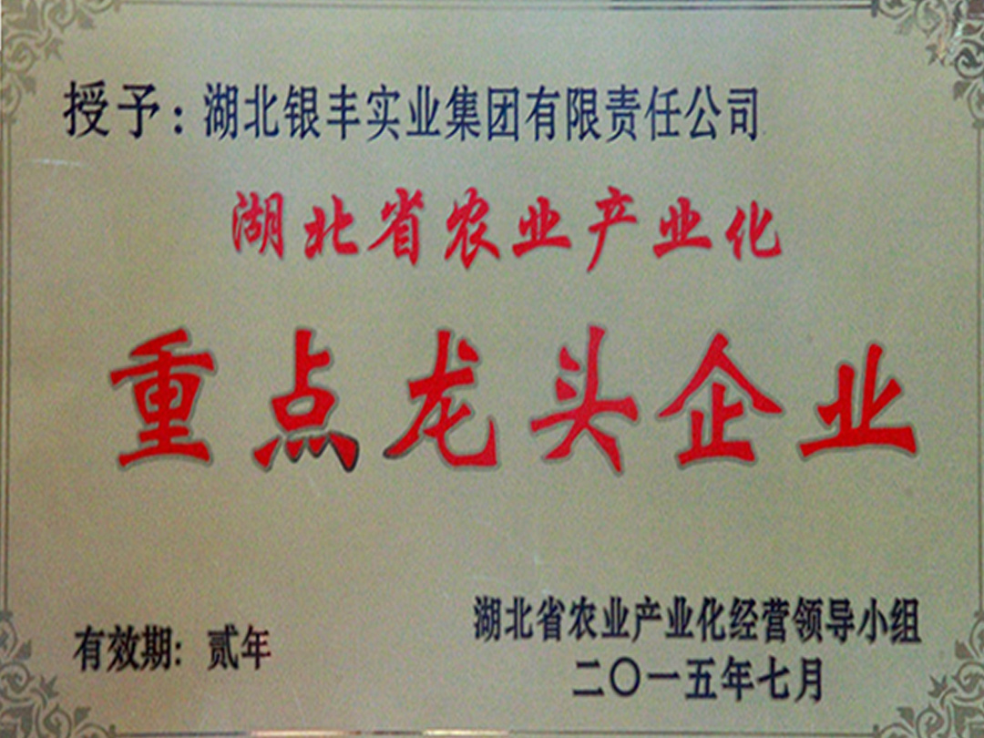 2015年 銀豐集團榮獲湖北省農業産業化省級重點龍頭企業 2015年 銀豐集團榮獲湖北省農業産業化省級重點龍頭企業